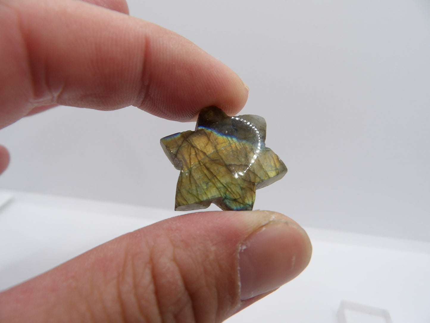 Etoile Labradorite