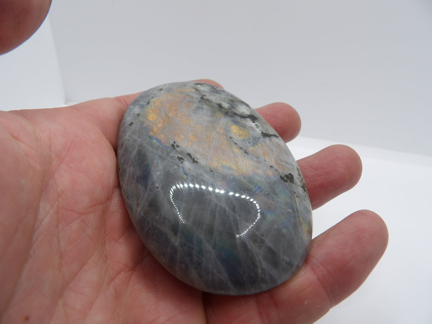 Galet Labradorite