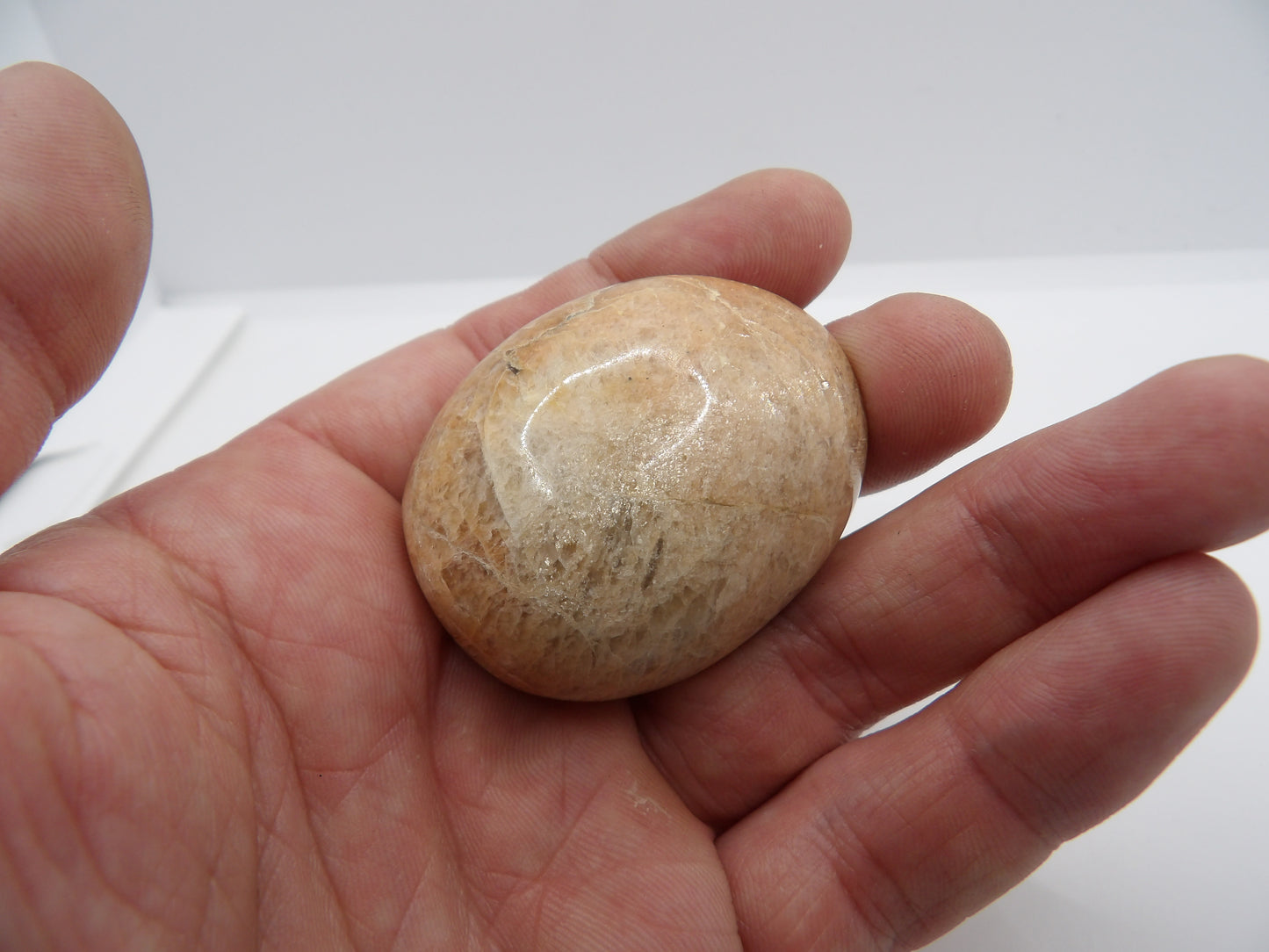 Galet Pierre de Lune