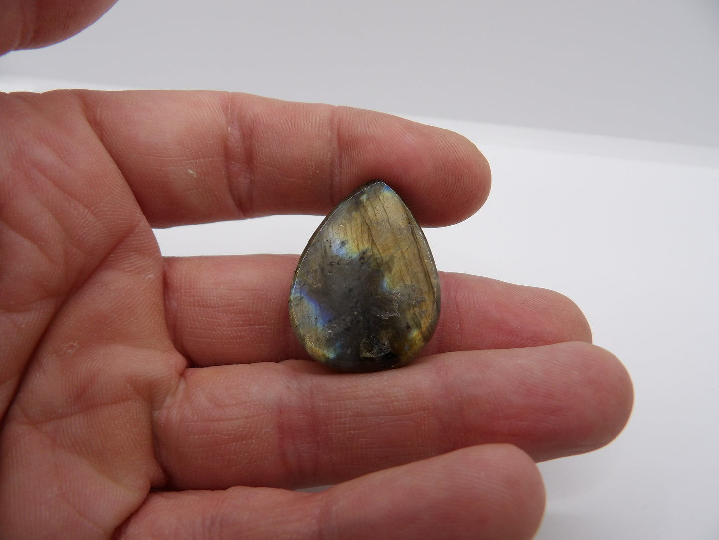 Cabochon Labradorite