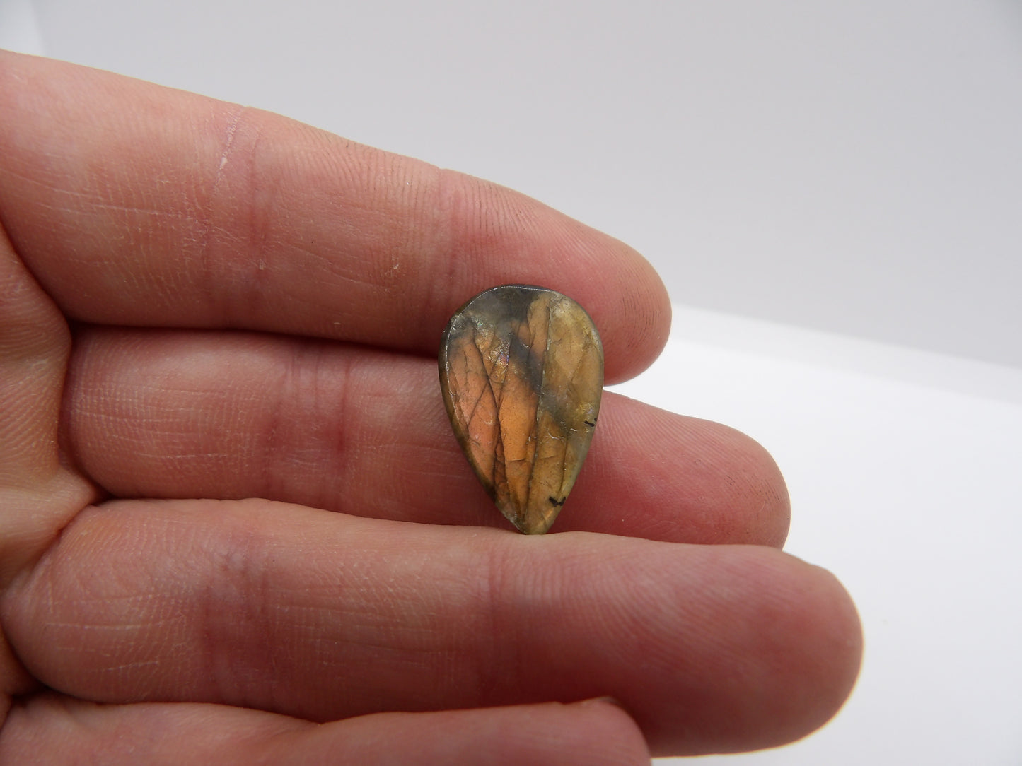 Cabochon Labradorite