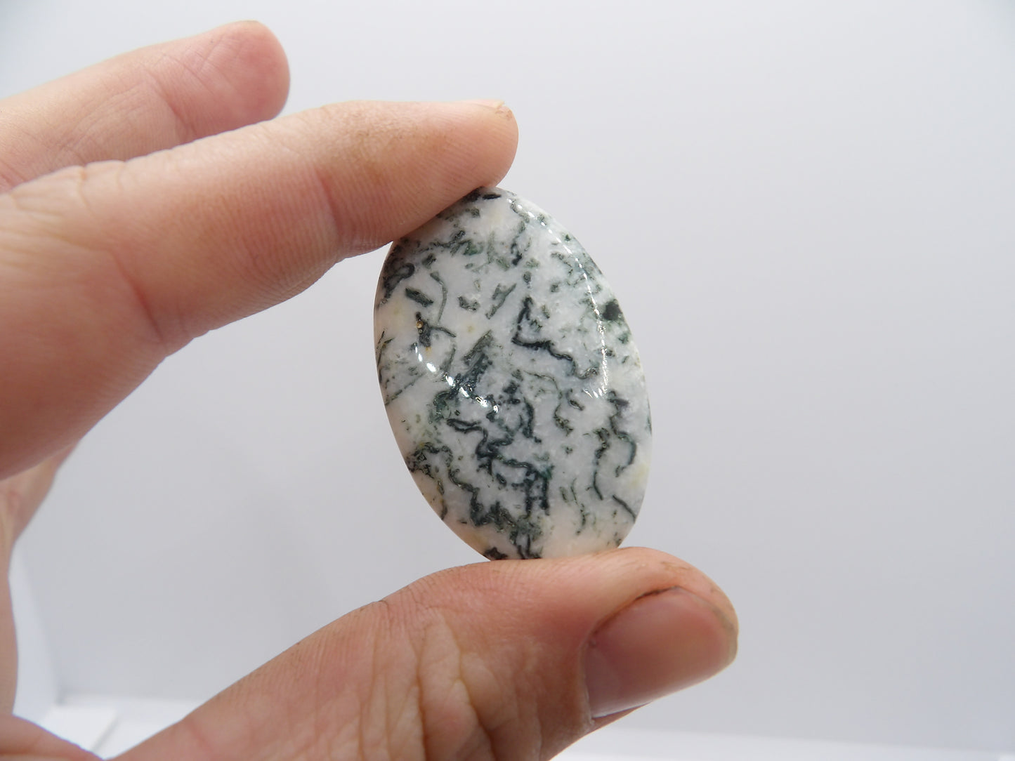 Cabochon Agate Arbre