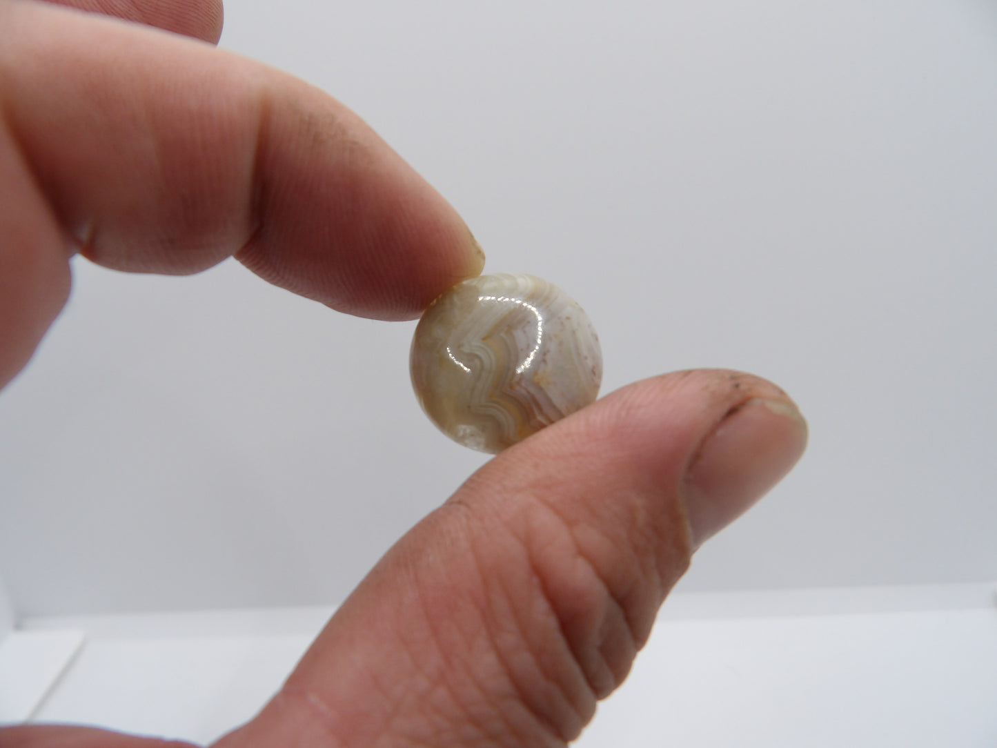 Cabochon Agate Crazy Lace