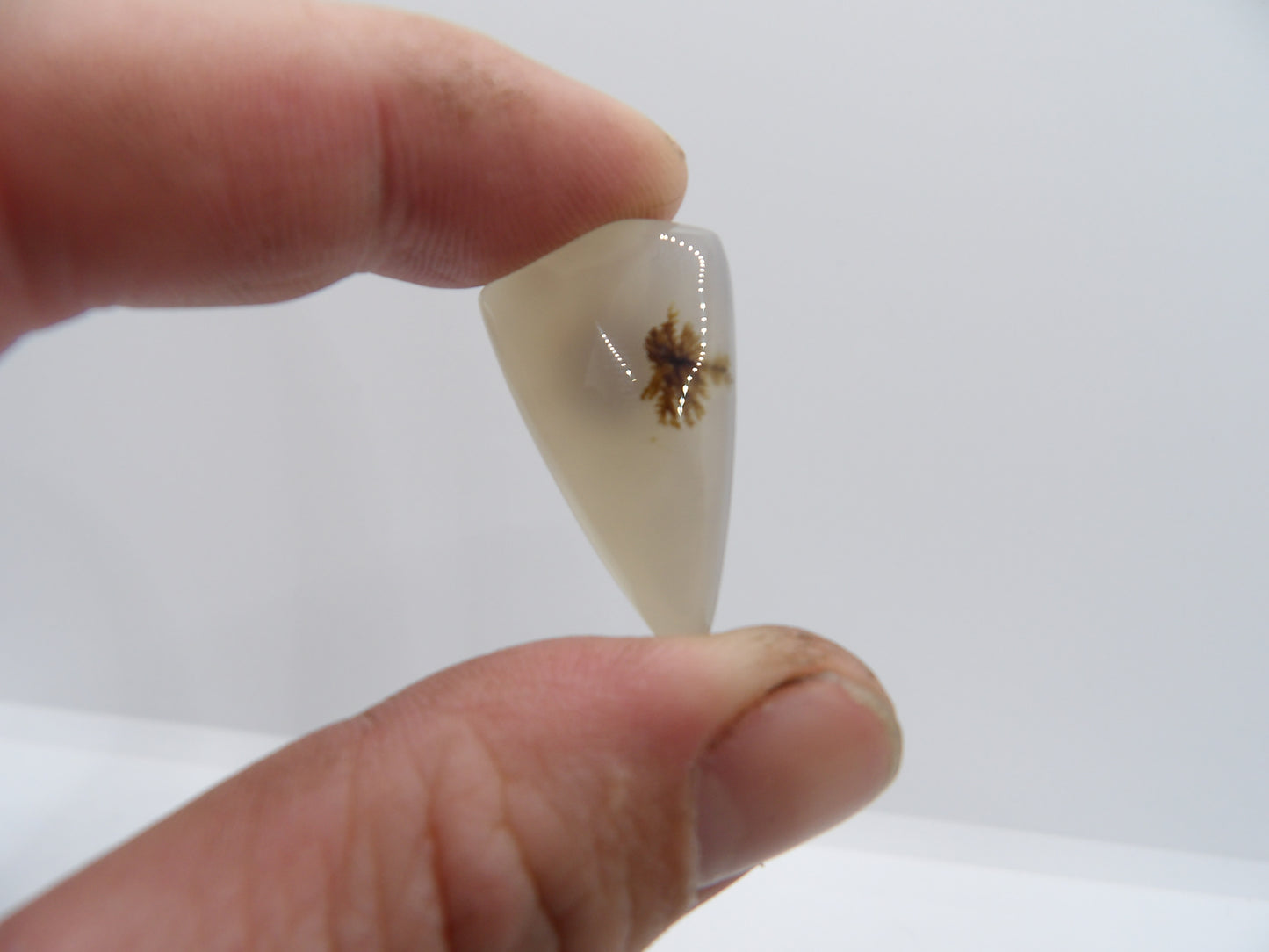 Cabochon Agate Montana