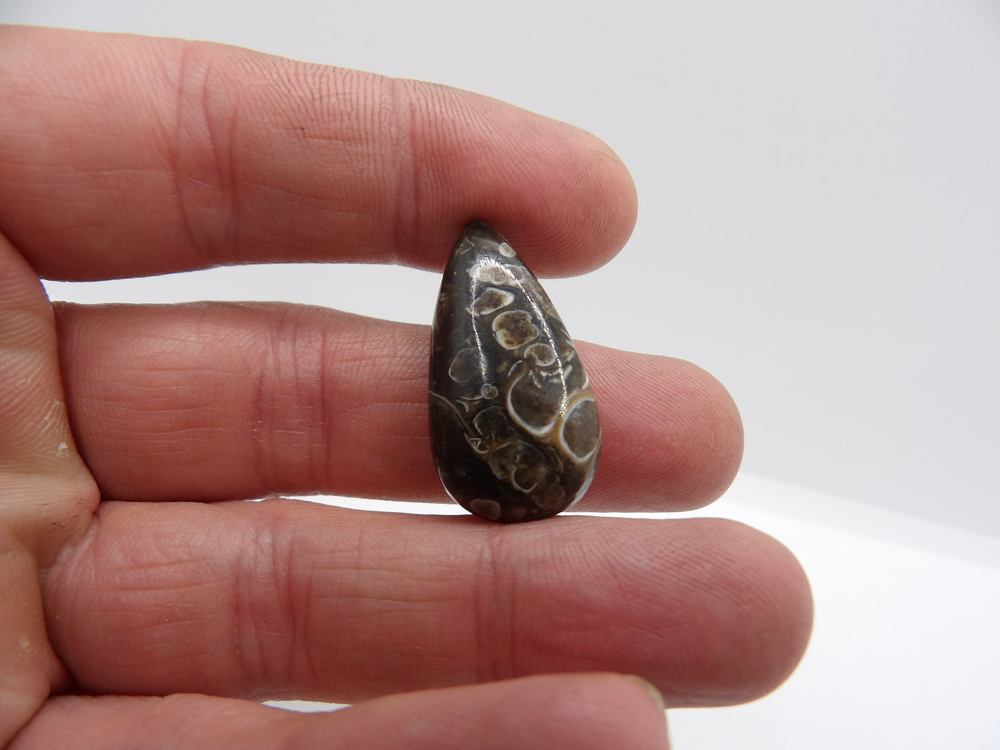 Cabochon Agate Turitelle