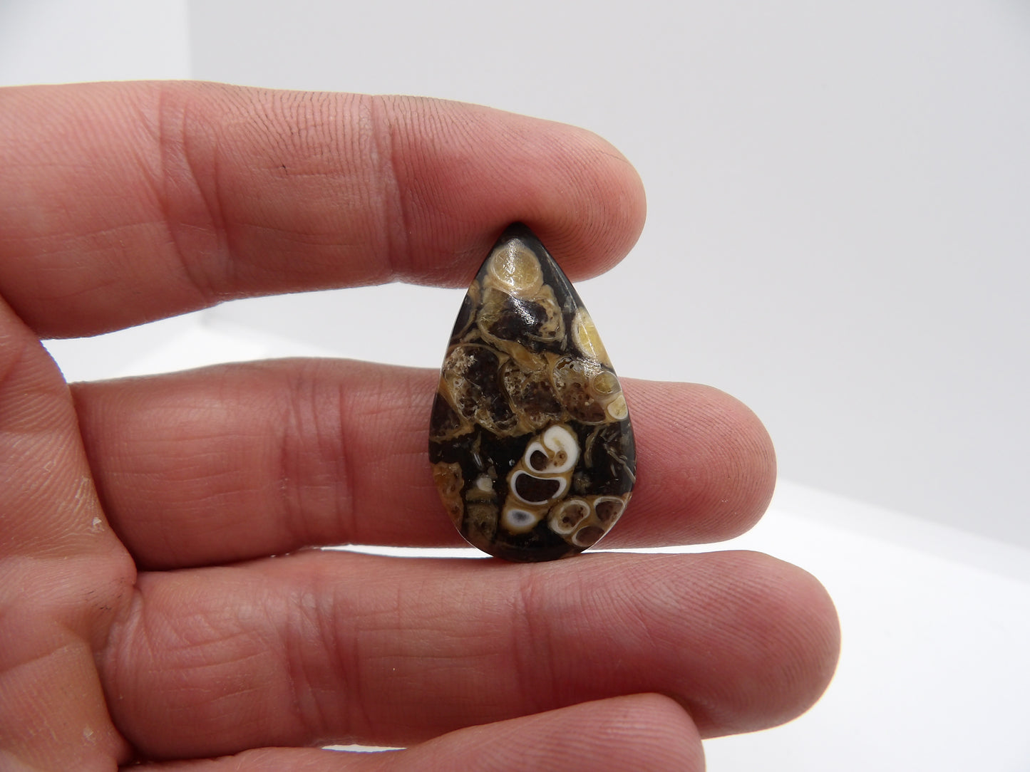 Cabochon Agate Turitelle