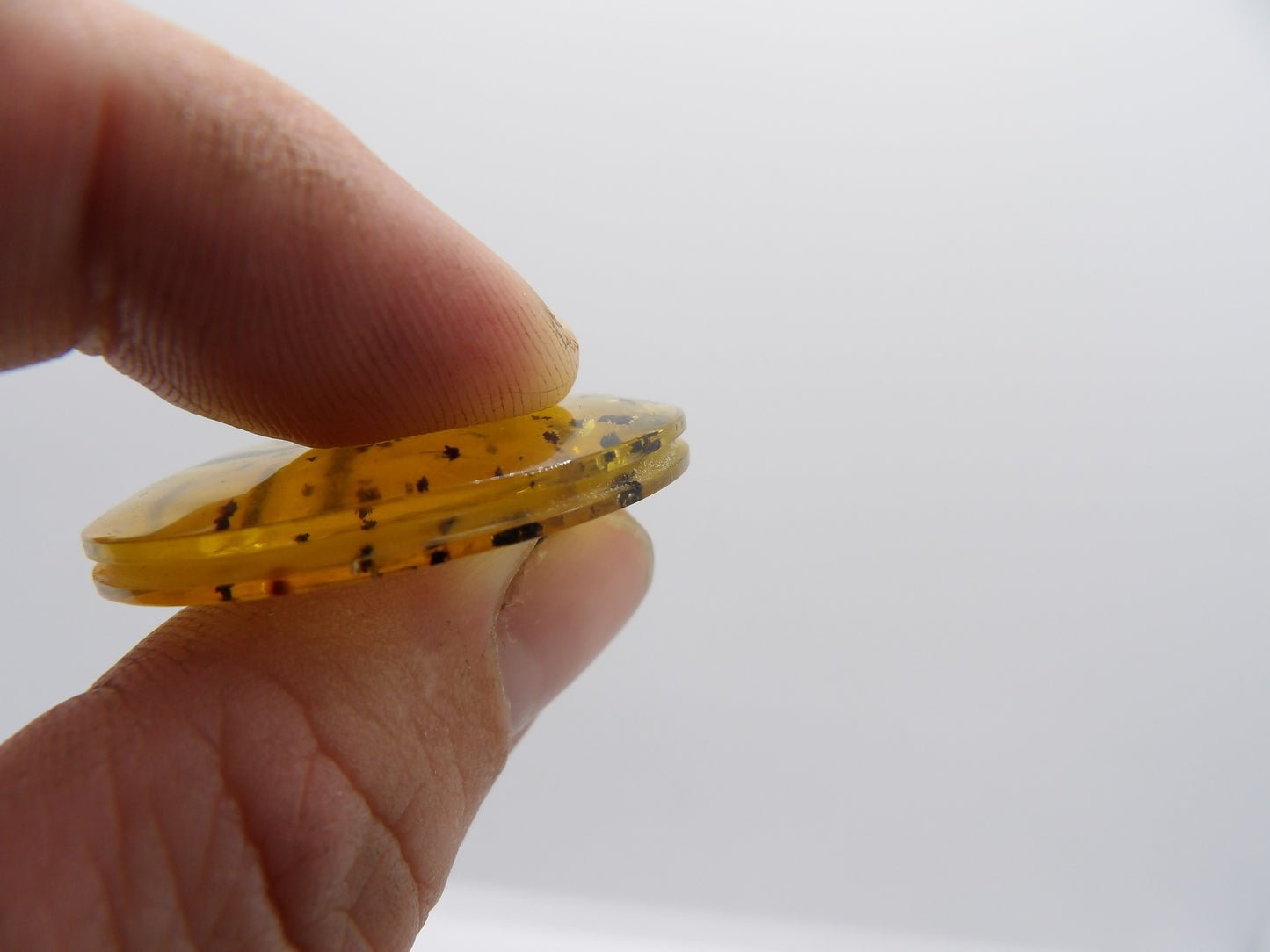 Cabochon Ambre du Mexique