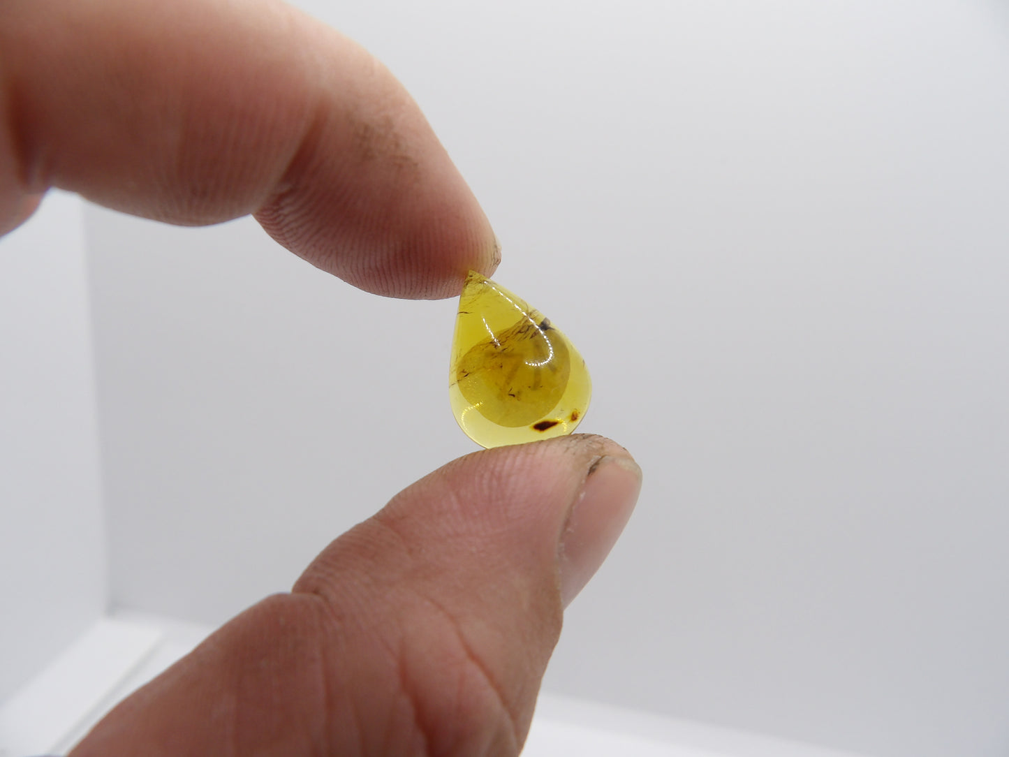 Cabochon Ambre du Mexique