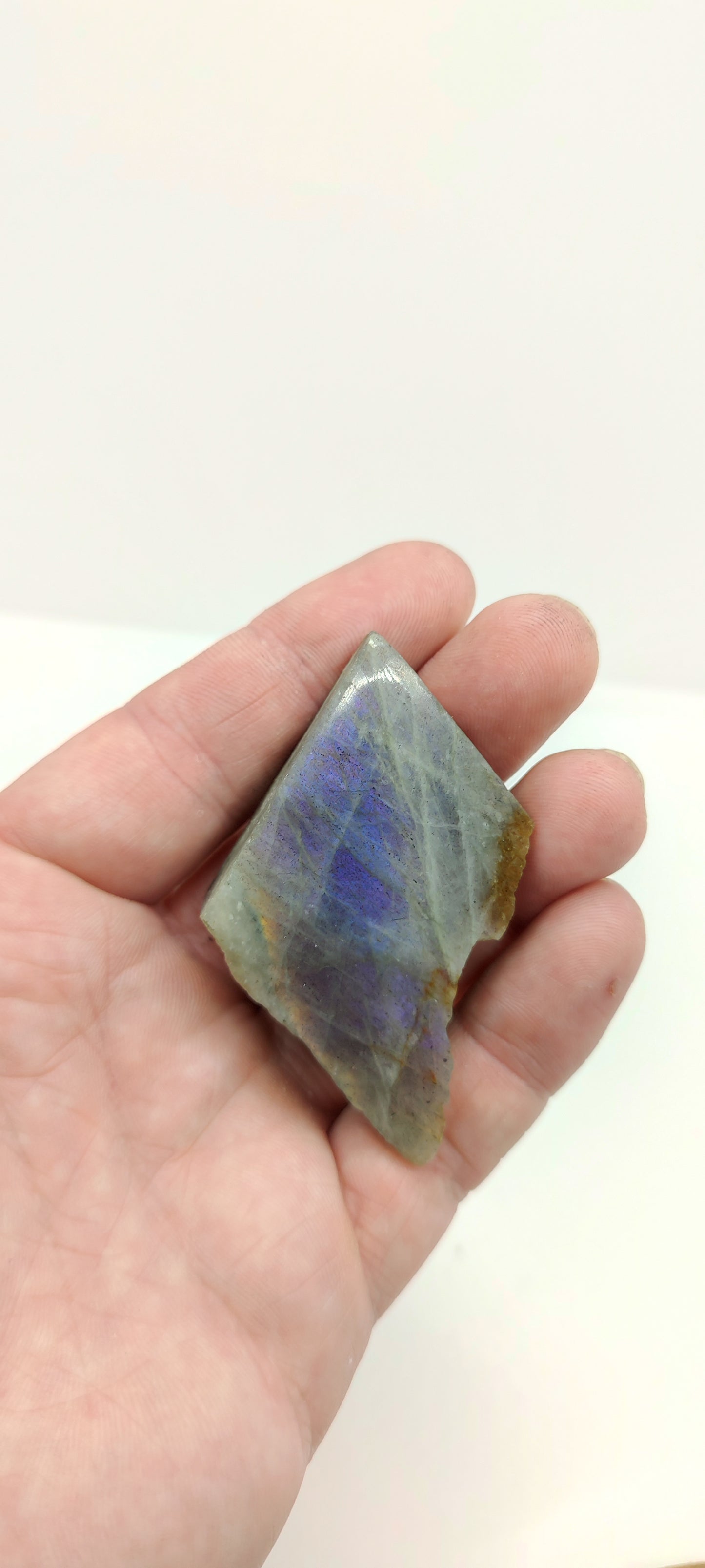 Labradorite : Morceau Semi poli