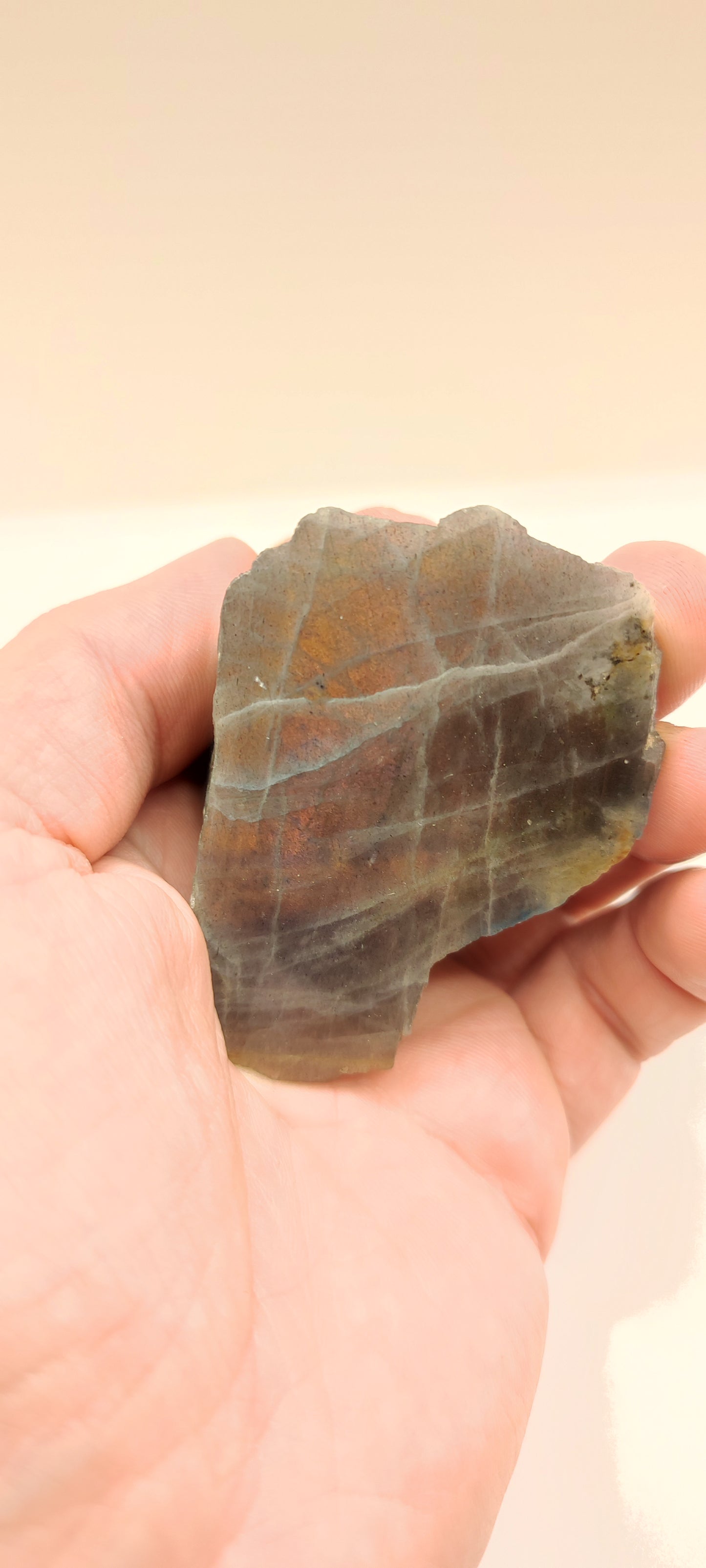Labradorite : Morceau Semi poli