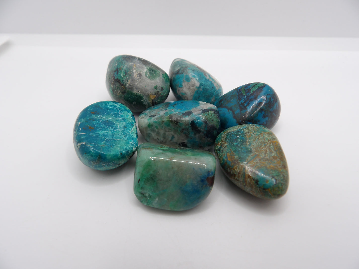 Chrysocolle