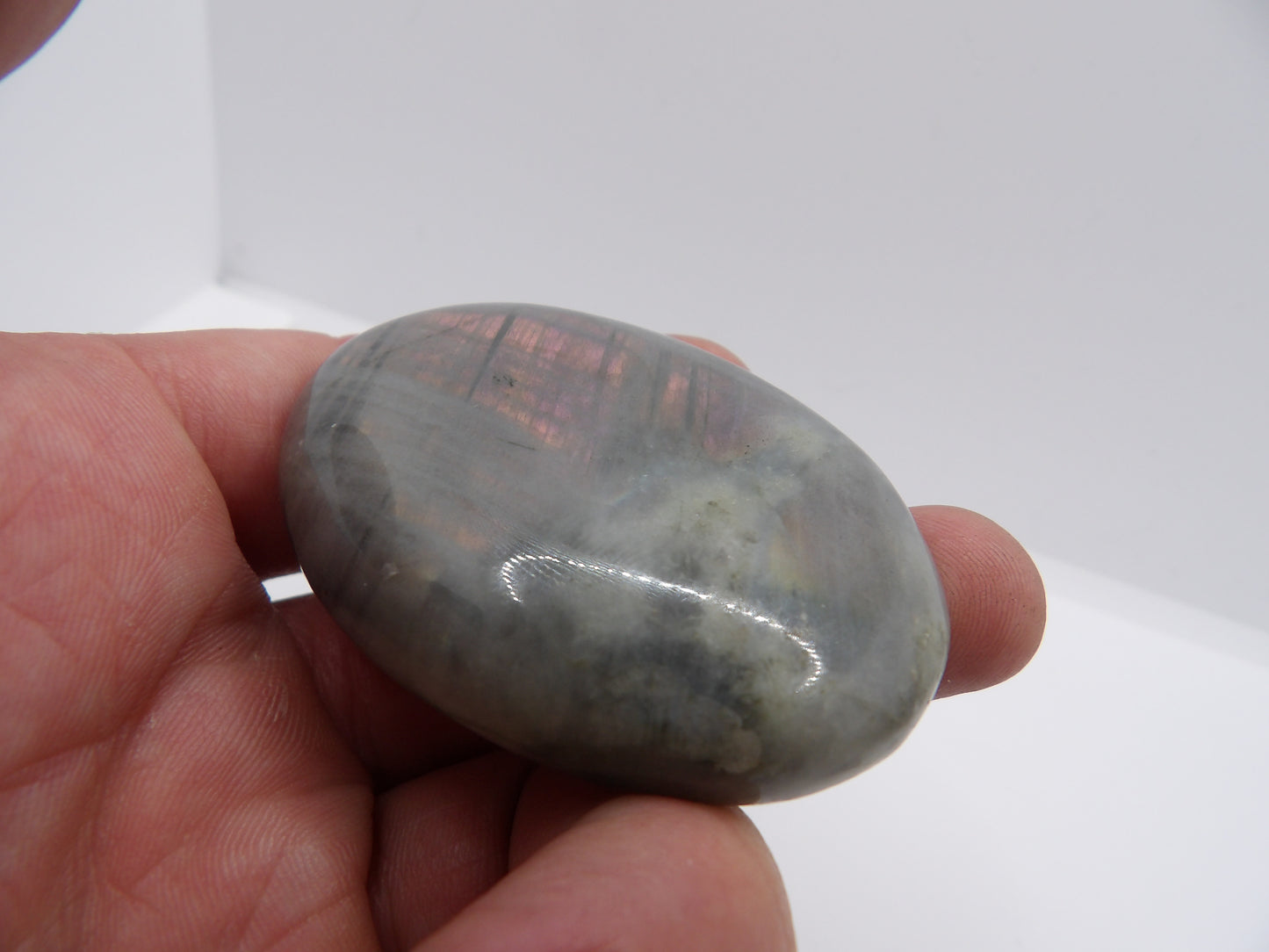 Galet de Labradorite