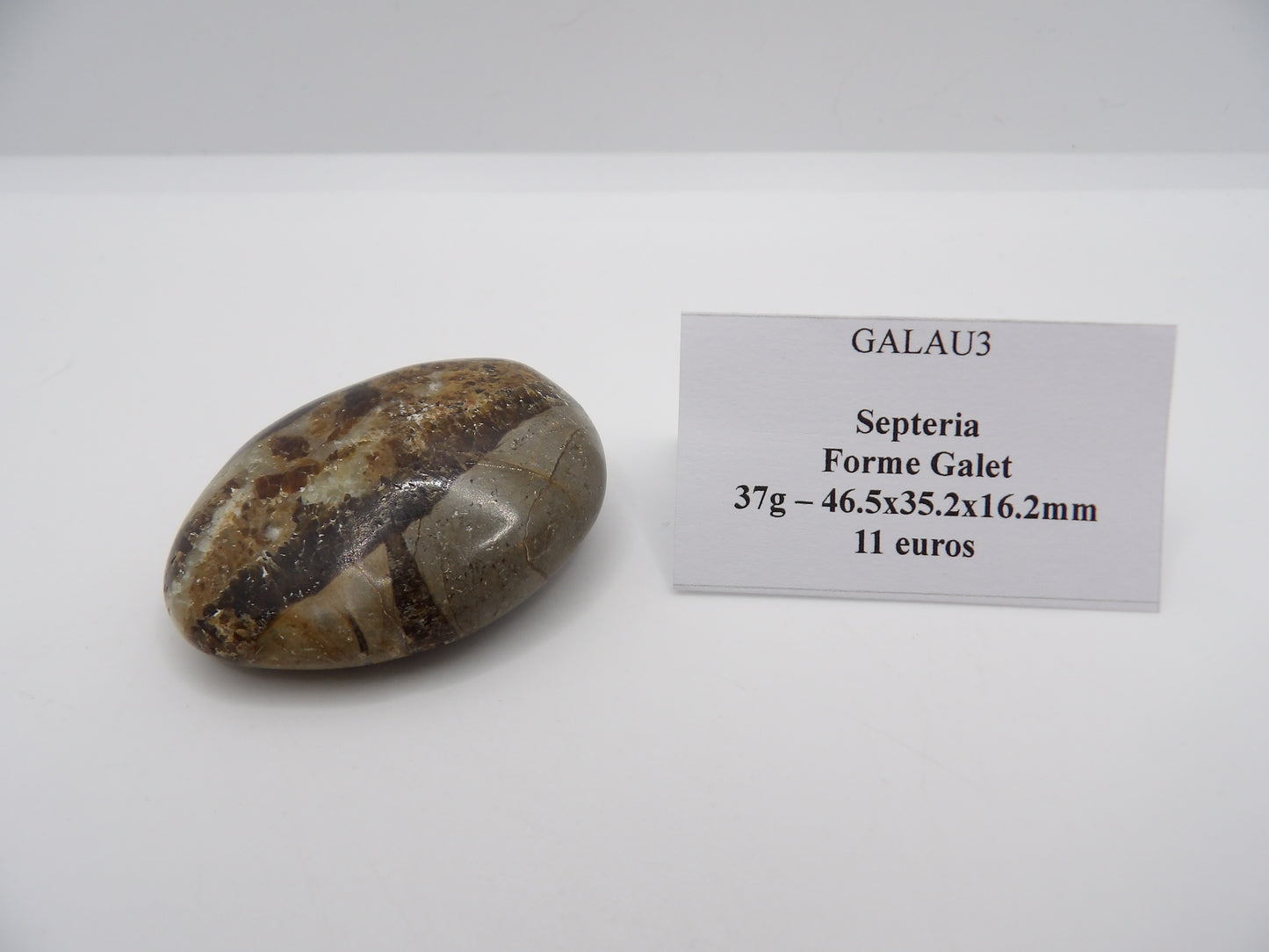 Galet Septeria