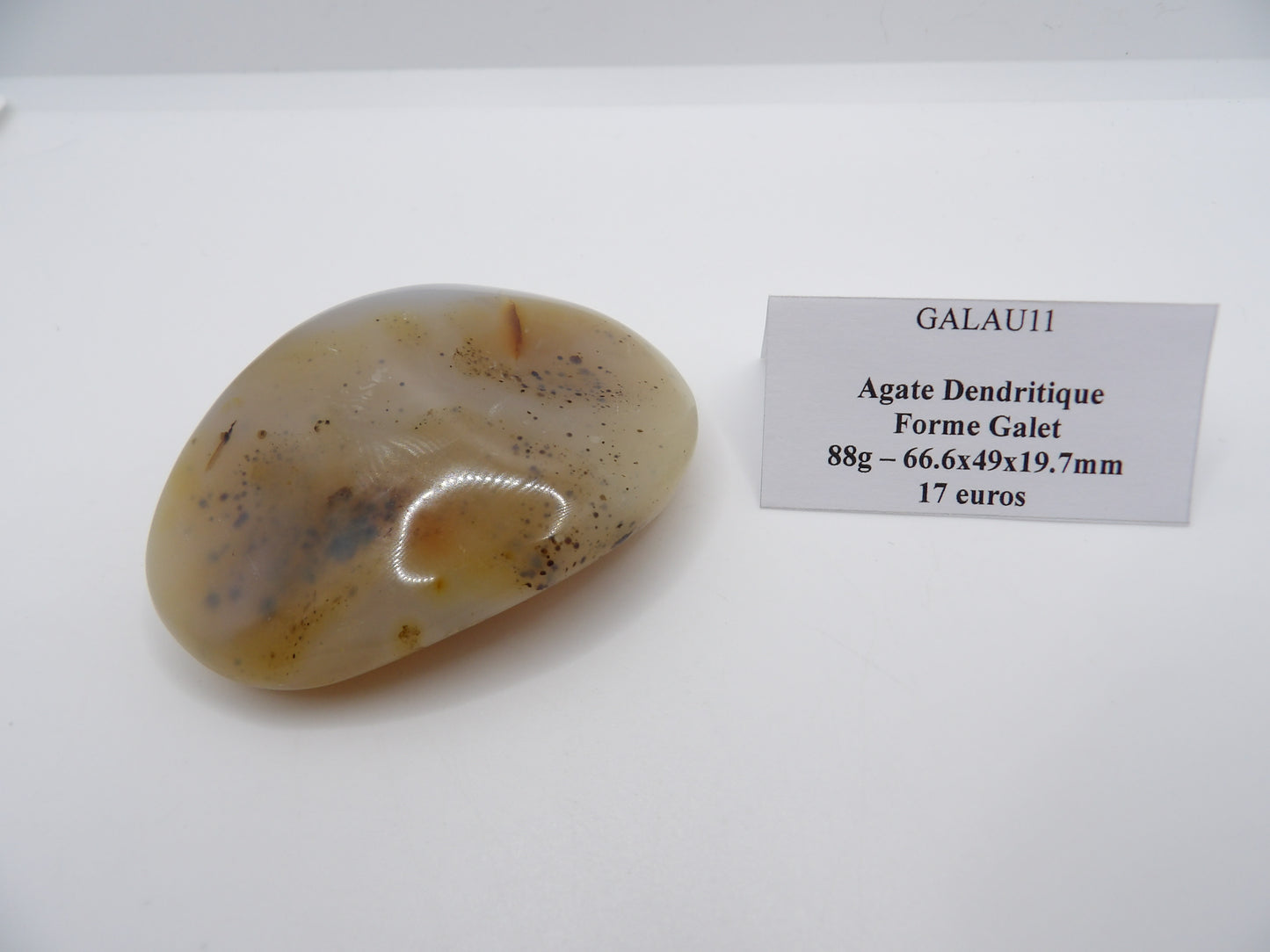 Galet Agate Dendritique