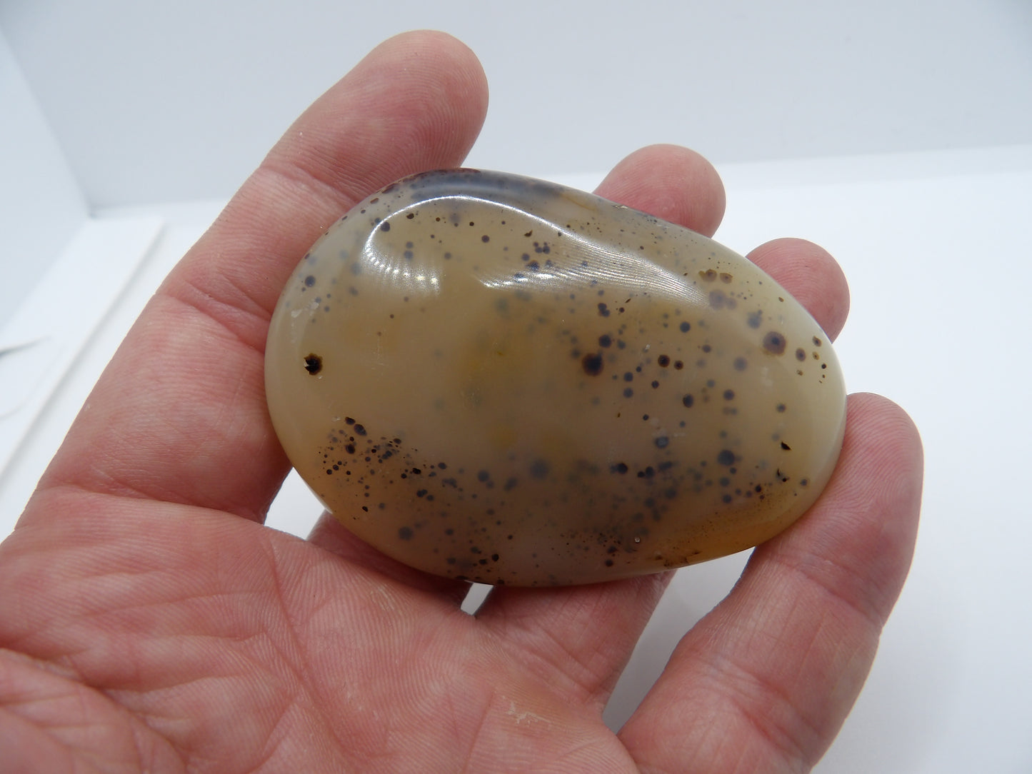 Galet Agate Dendritique