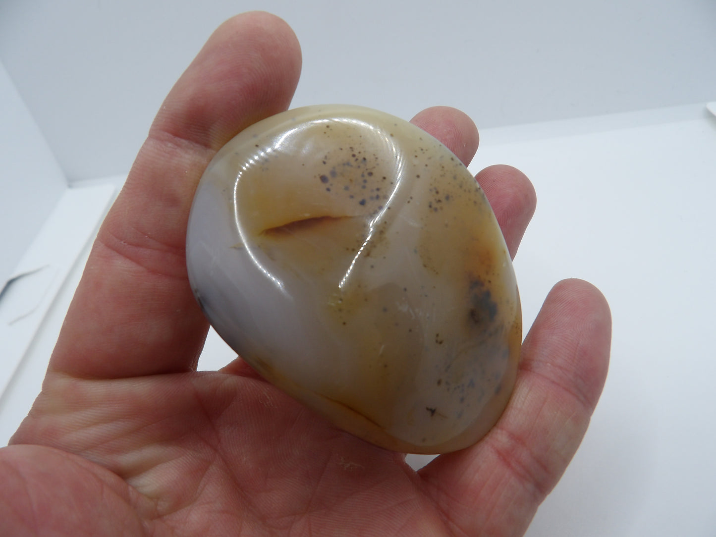 Galet Agate Dendritique