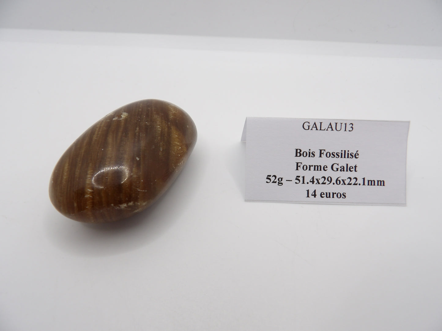 Galet Bois Fossilisé