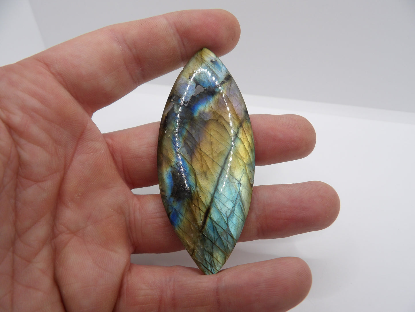 Cabochon Labradorite