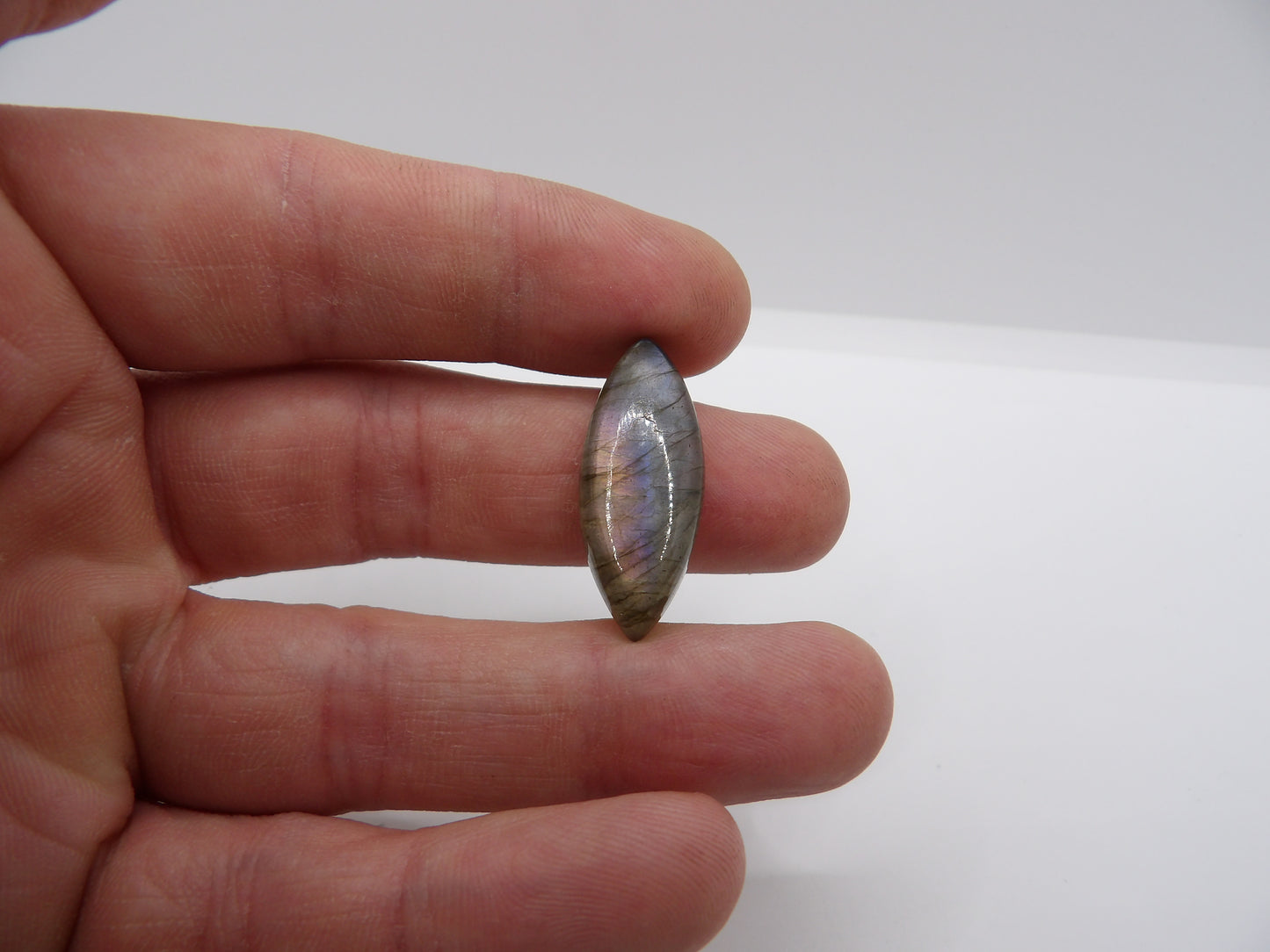 Cabochon Labradorite