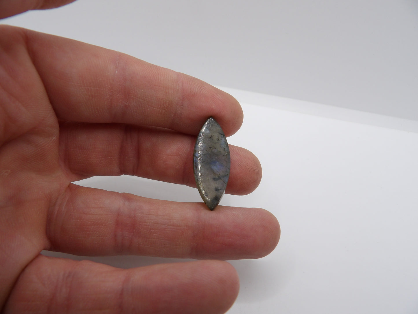 Cabochon Labradorite