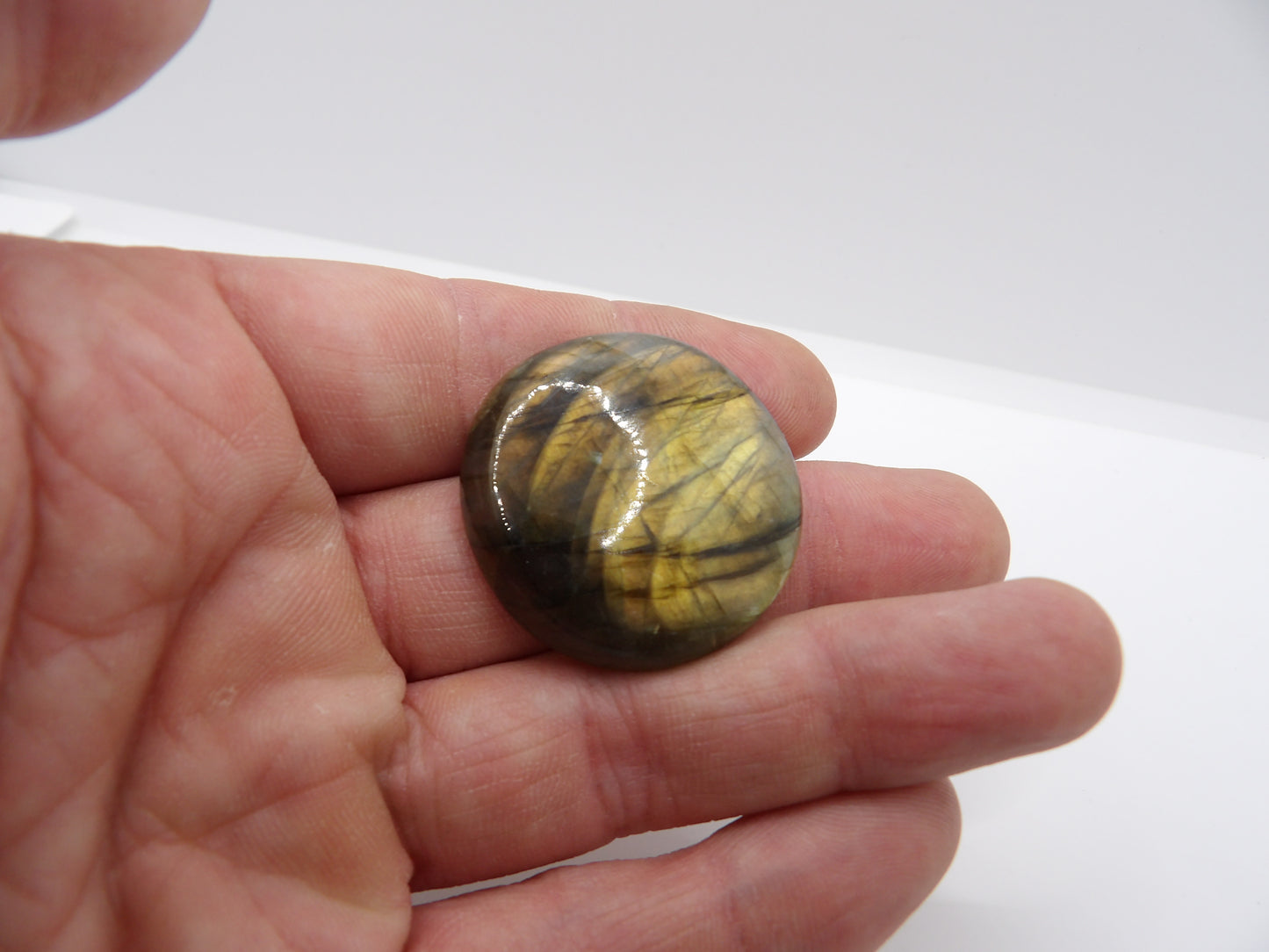 Cabochon Labradorite