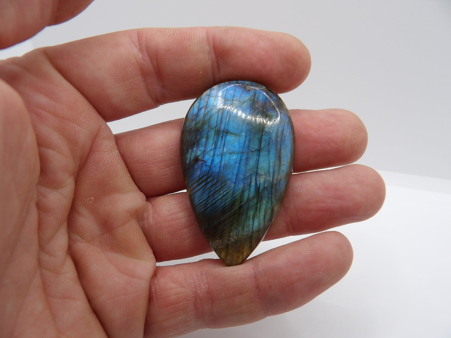 Cabochon Labradorite