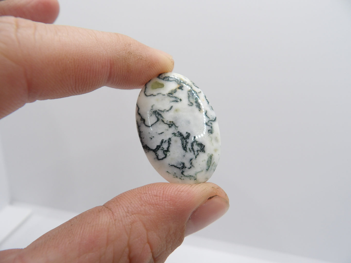 Cabochons Agate Arbre