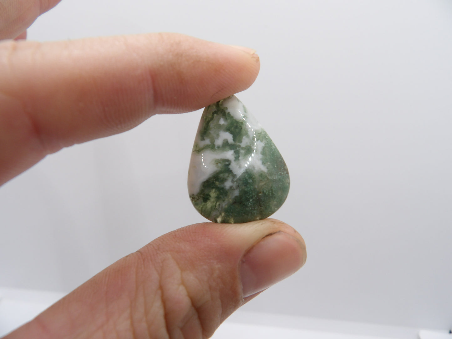 Cabochon Agate Arbre