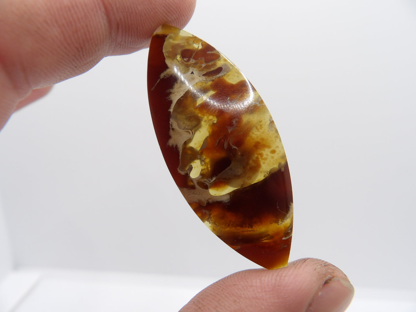 Cabochon Ambre d'Indonésie