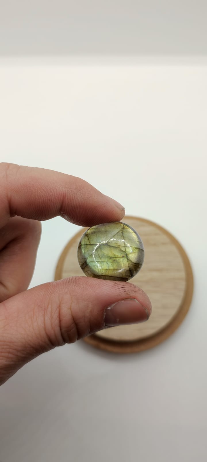 Cabochon Labradorite