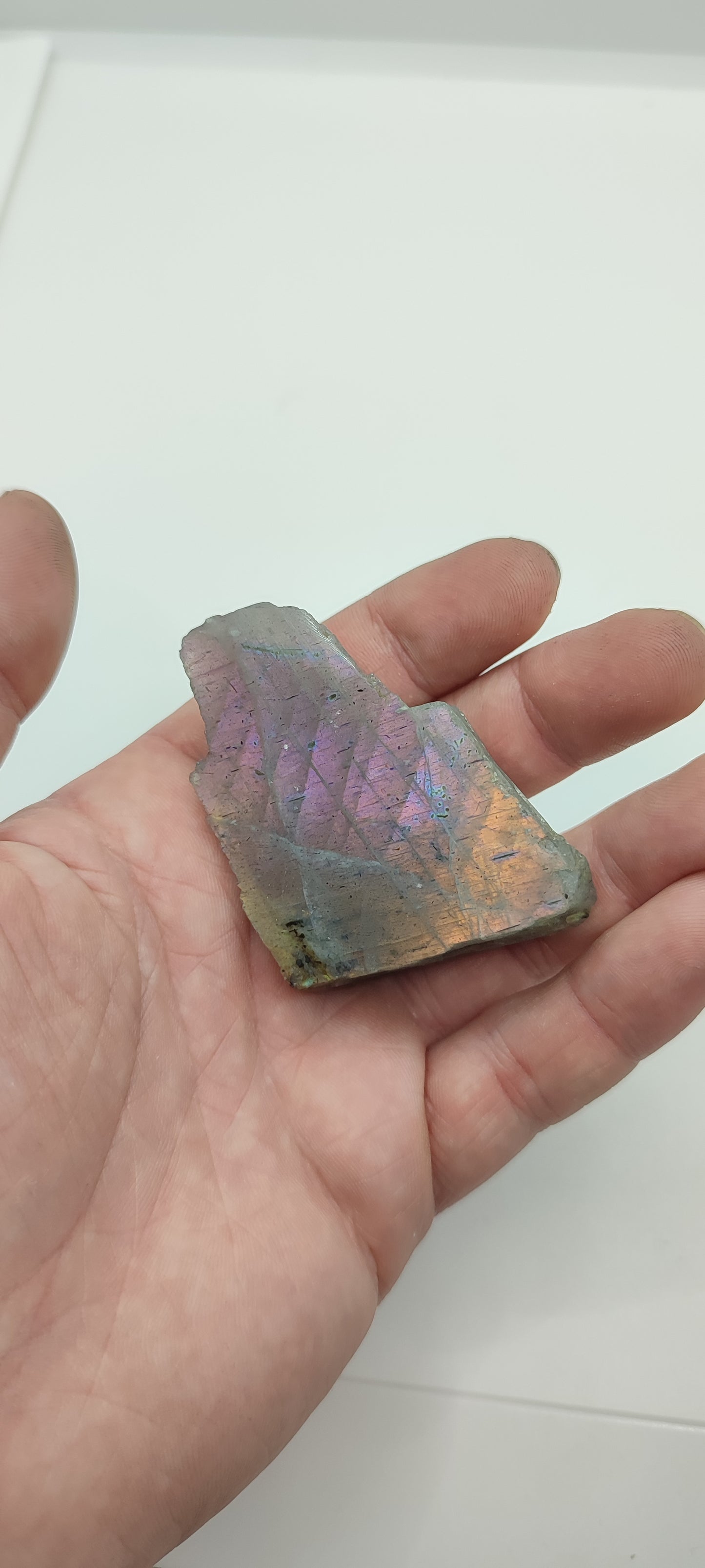 Labradorite : Morceau Semi poli