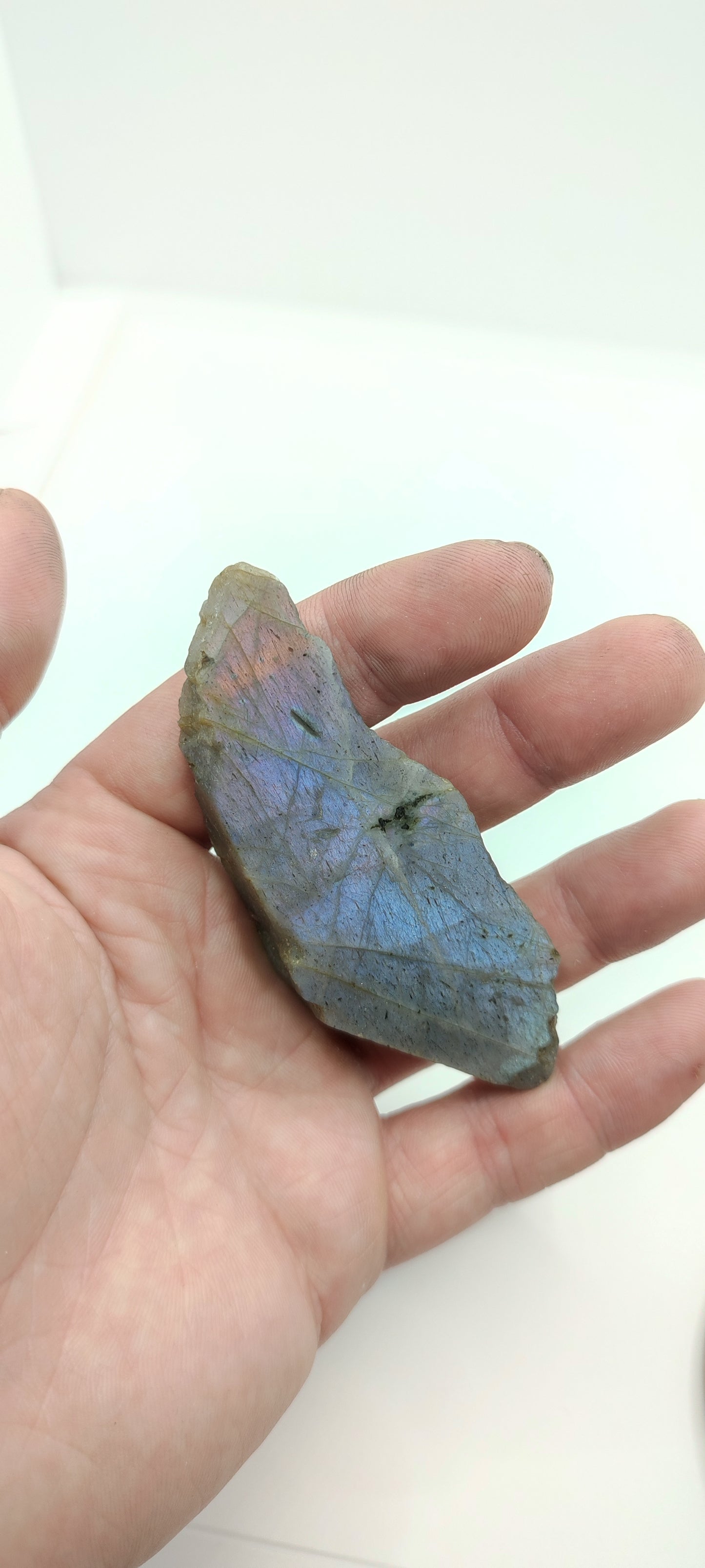 Labradorite : Morceau Semi poli