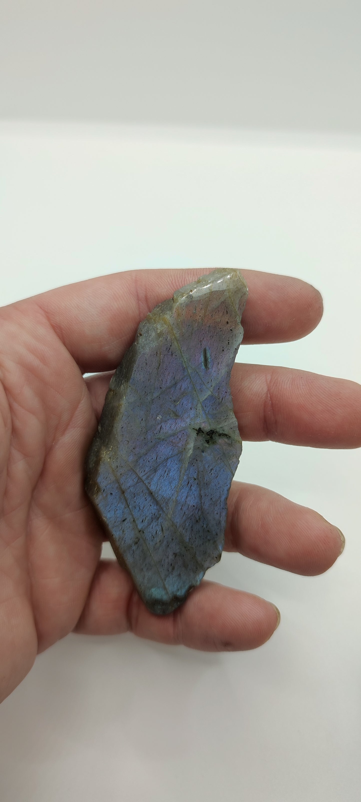 Labradorite : Morceau Semi poli